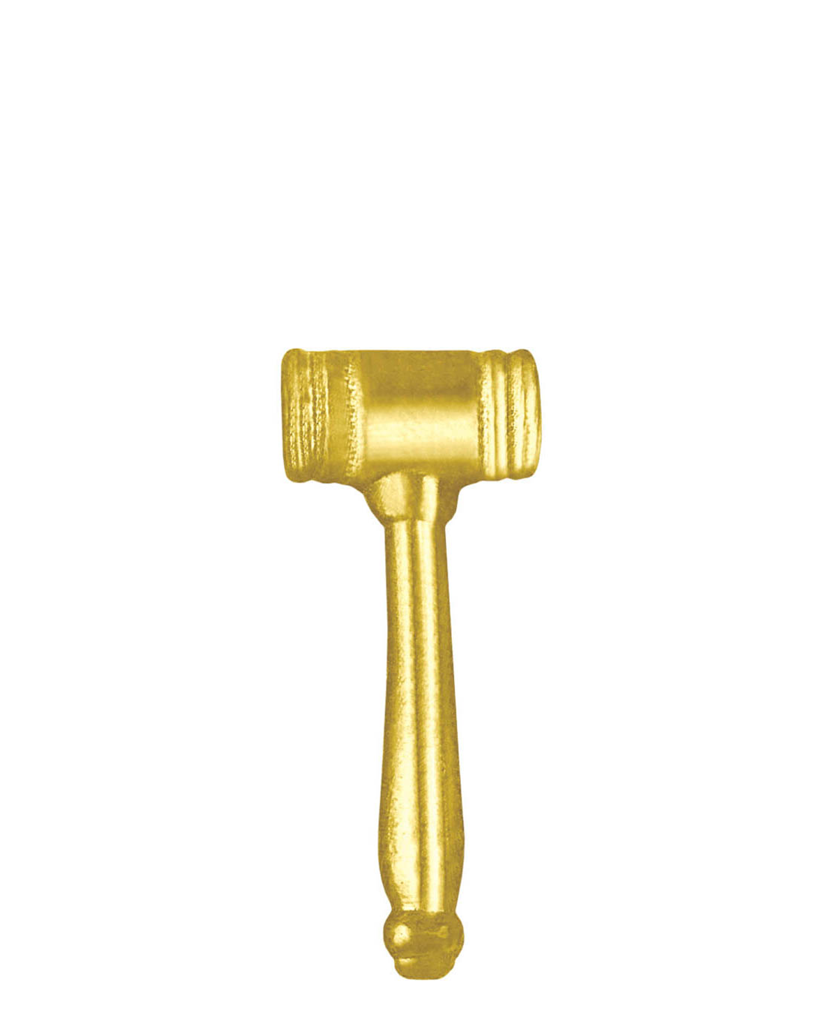 Sports Chenille Pin – Gavel