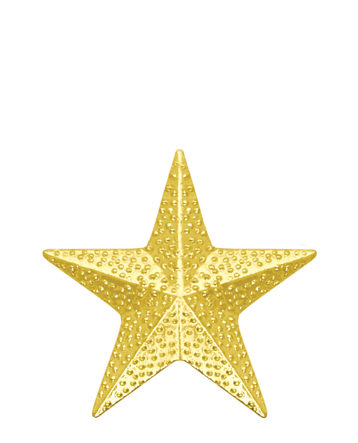 Sports Chenille Pin – Star