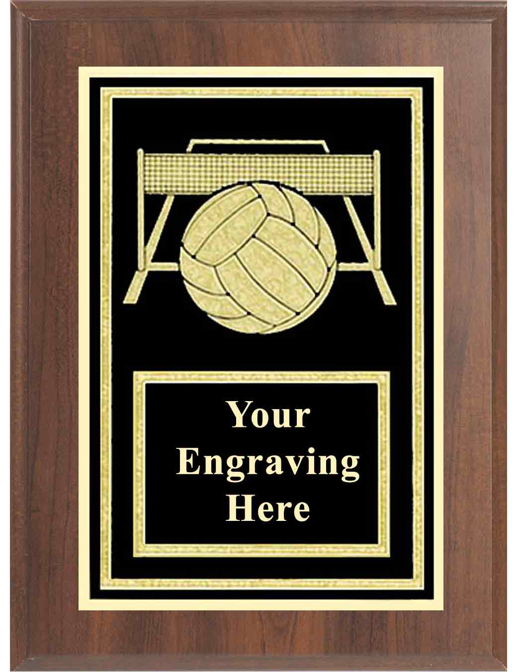 6x8 Cherry Volleyball Activity Plaque