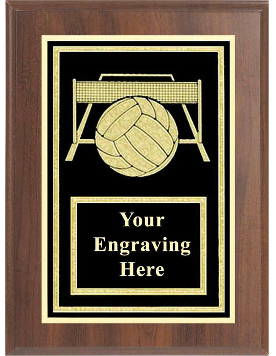 Volleyball Activity Plaque
