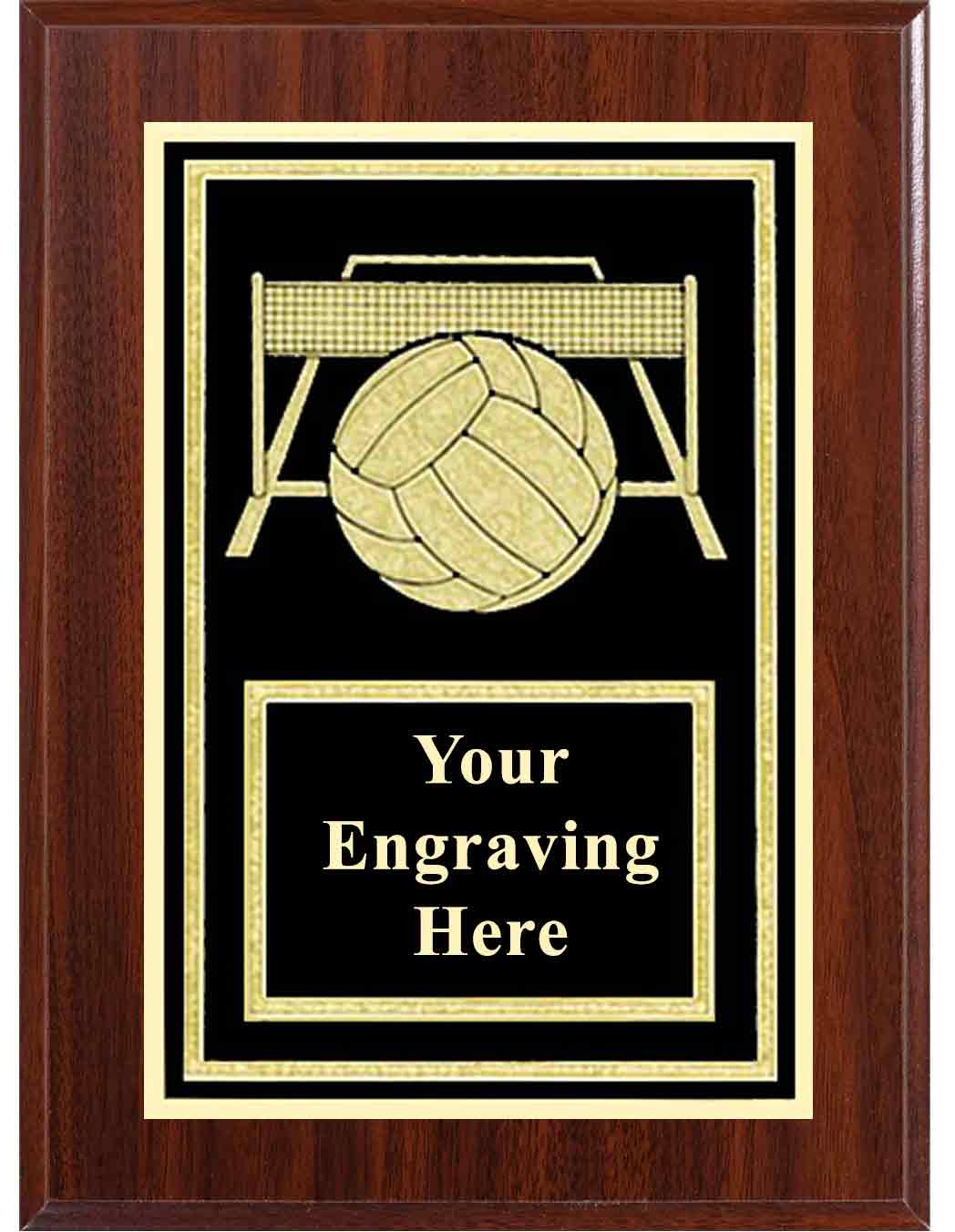 6x8 Dark Cherry Volleyball Activity Plaque