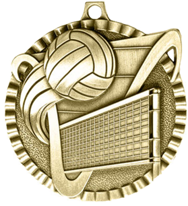 Gold Victory Scene Volleyball Medal