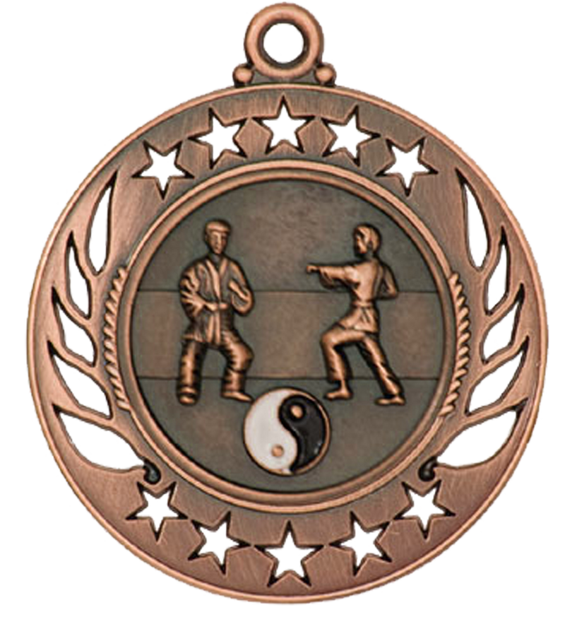 Bronze Galaxy Martial Arts Medal