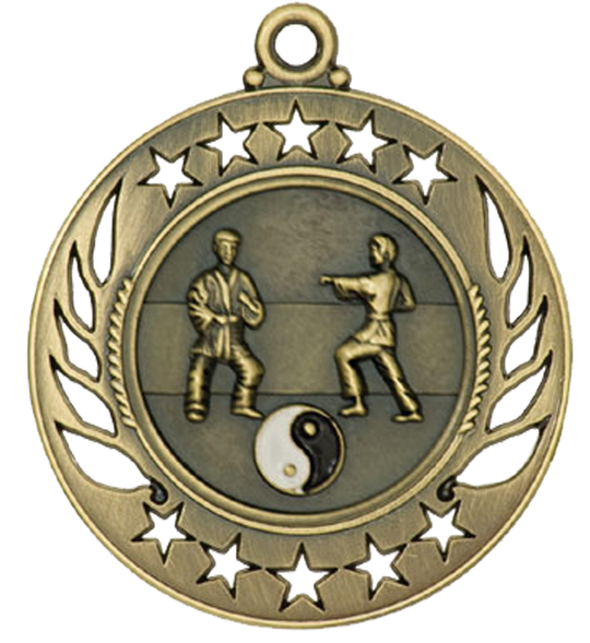 Galaxy Martial Arts Medal