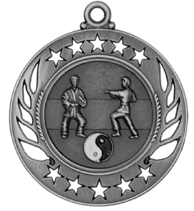 Silver Galaxy Martial Arts Medal