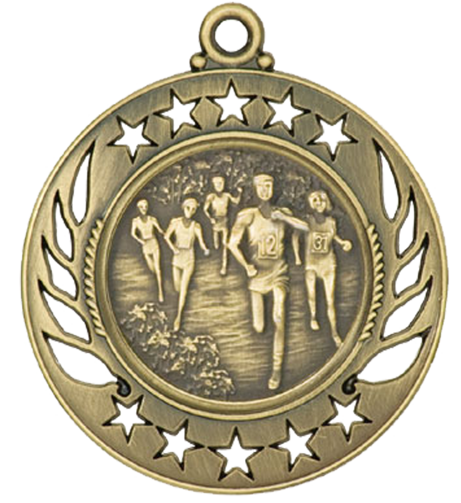 Gold Galaxy Cross Country Medal