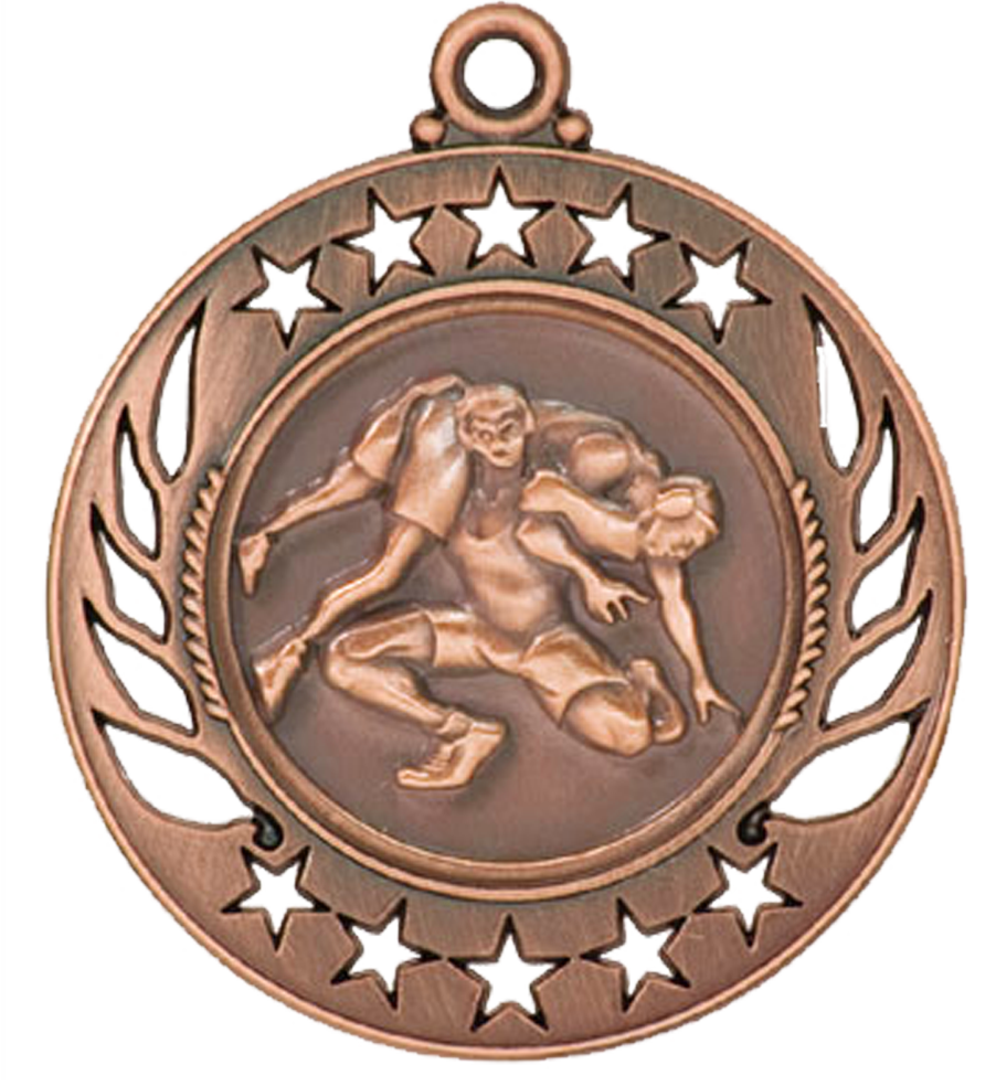 Bronze Galaxy Wrestling Medal