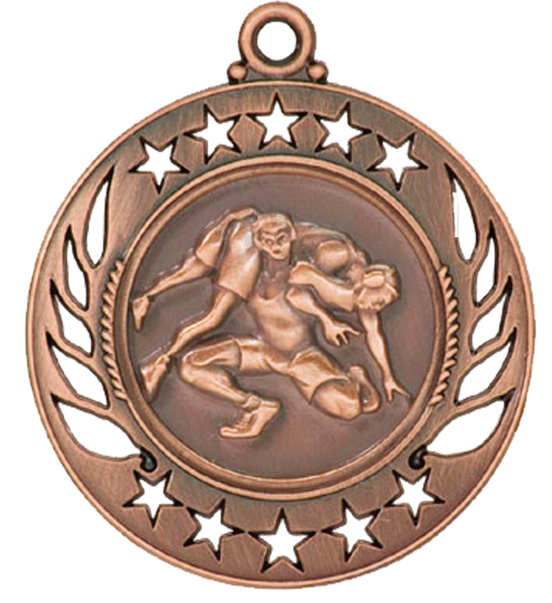 Bronze Galaxy Wrestling Medal