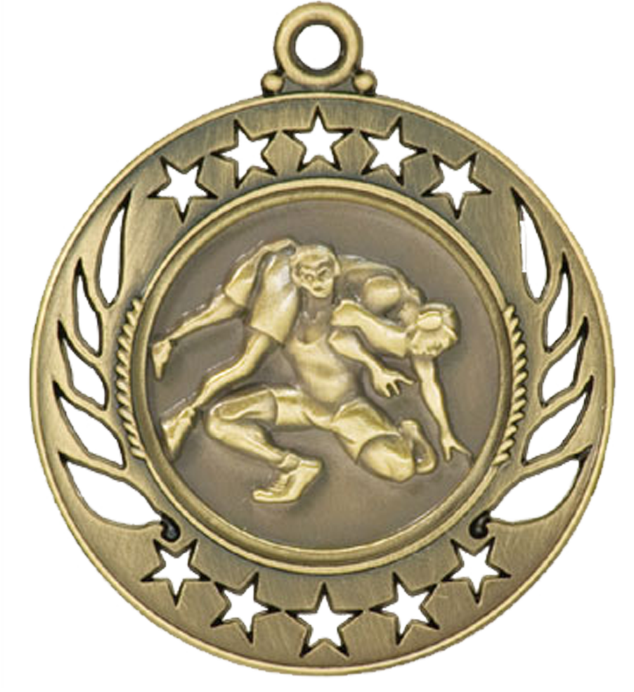 Gold Galaxy Wrestling Medal