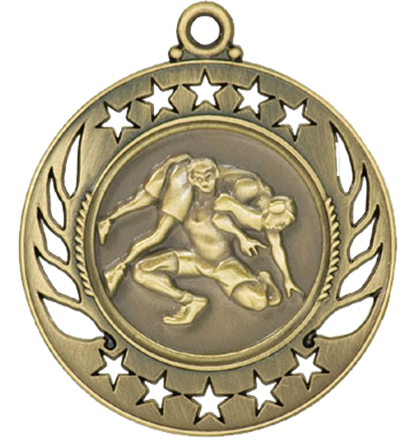 Gold Galaxy Wrestling Medal