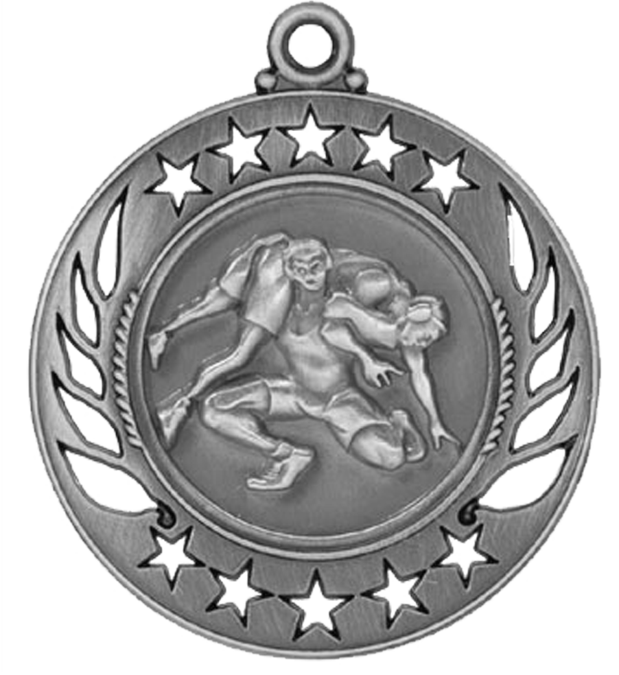 Silver Galaxy Wrestling Medal