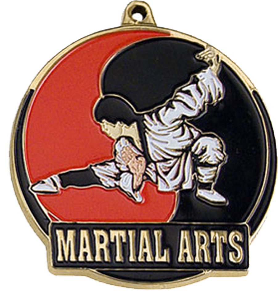 Gold Color Fill Martial Arts Medal