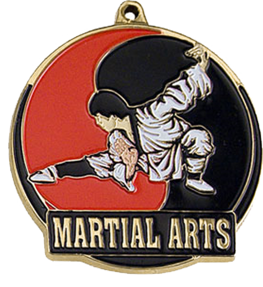 Color Fill Martial Arts Medal