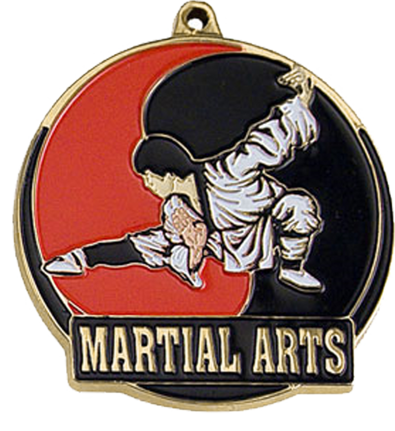 Gold Color Fill Martial Arts Medal