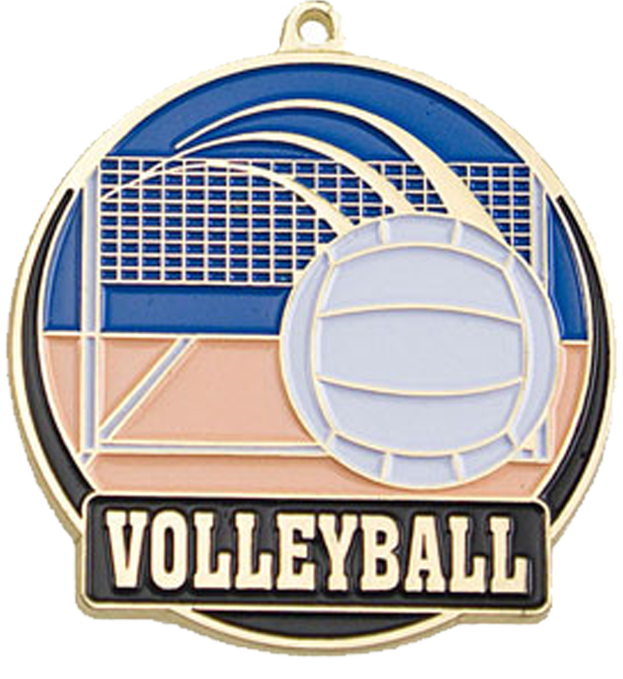 Gold Color Fill Volleyball Medal