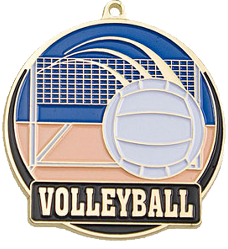 Gold Color Fill Volleyball Medal