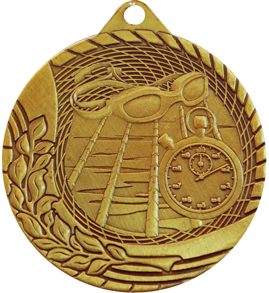 Bronze Budget Swimming Medal