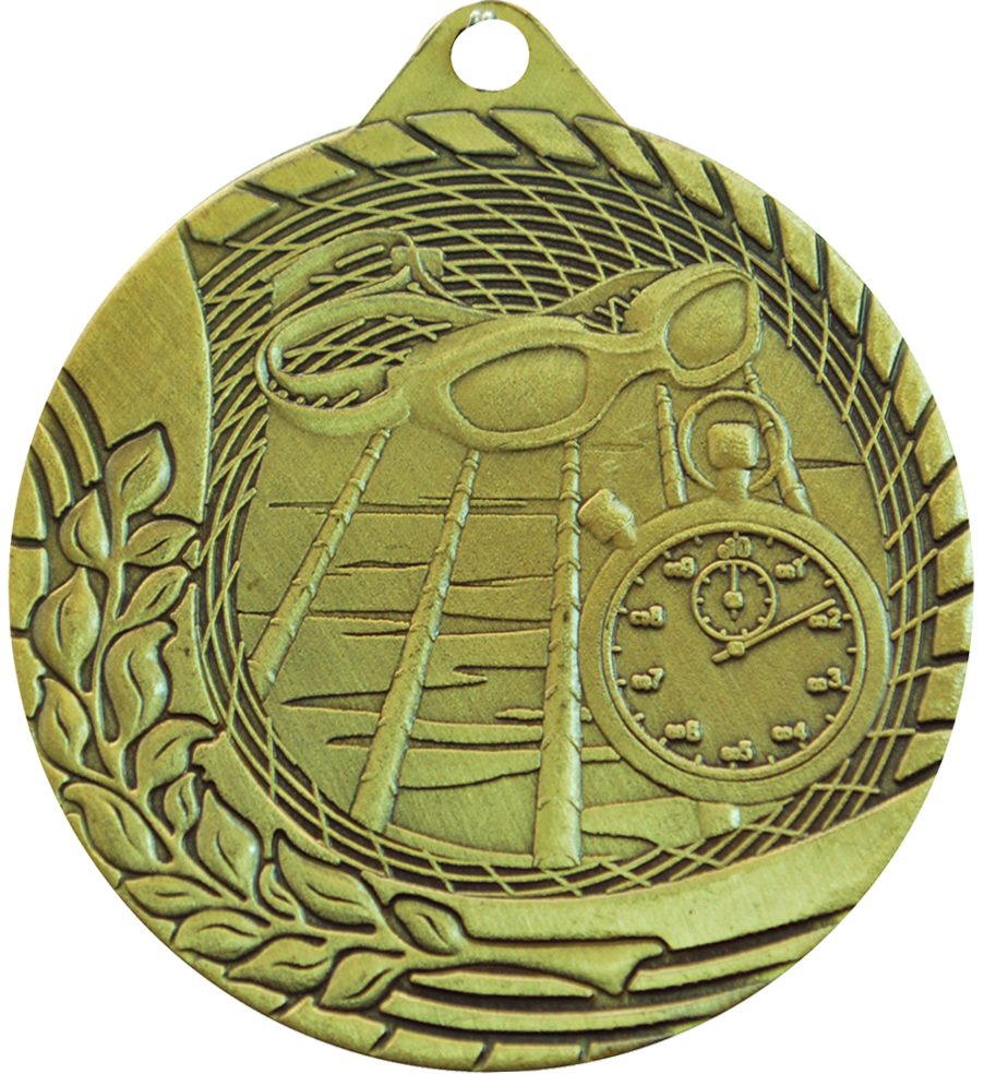 Gold Budget Swimming Medal