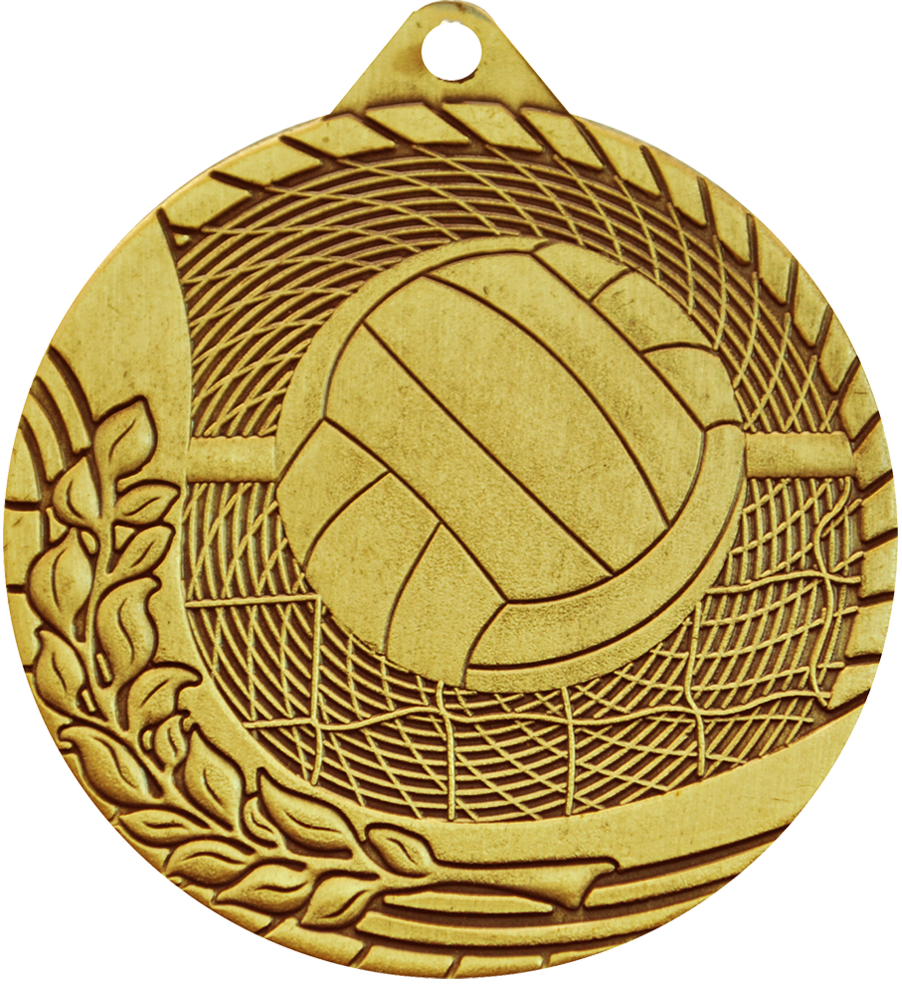 Bronze Budget Volleyball Medal