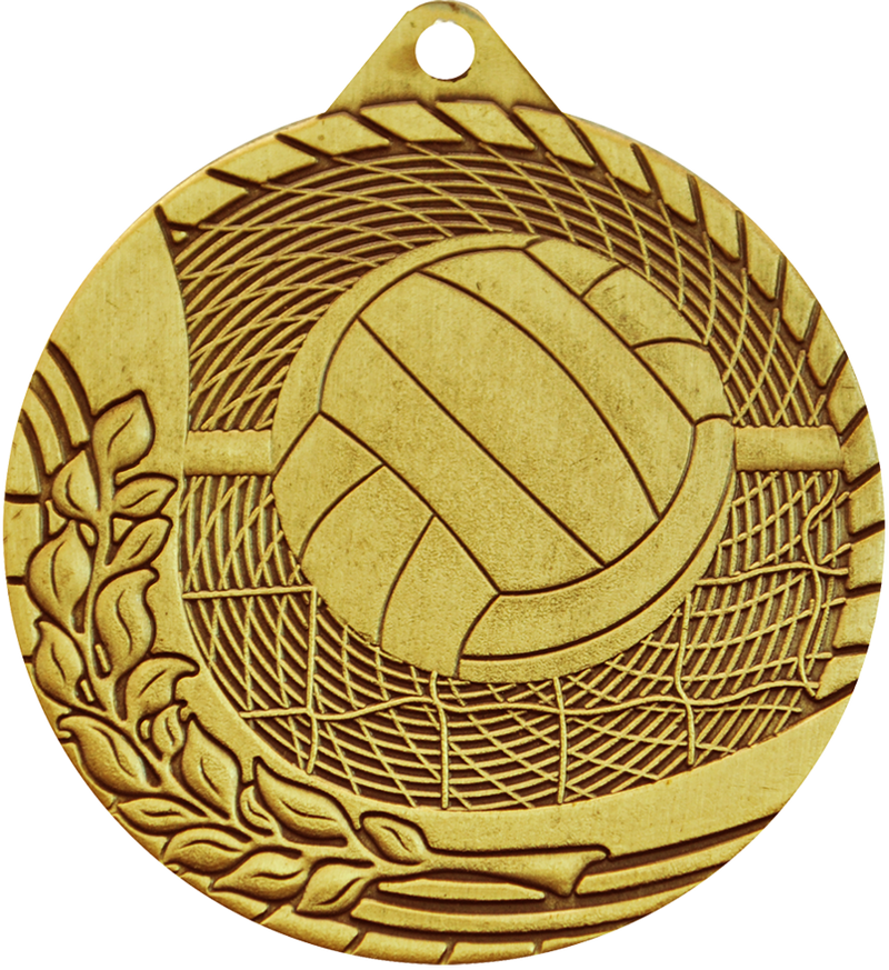 Bronze Budget Volleyball Medal