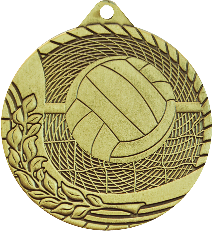 Gold Budget Volleyball Medal