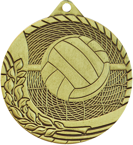 Budget Volleyball Medal