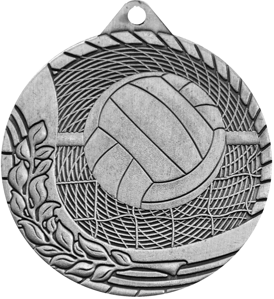 Silver Budget Volleyball Medal