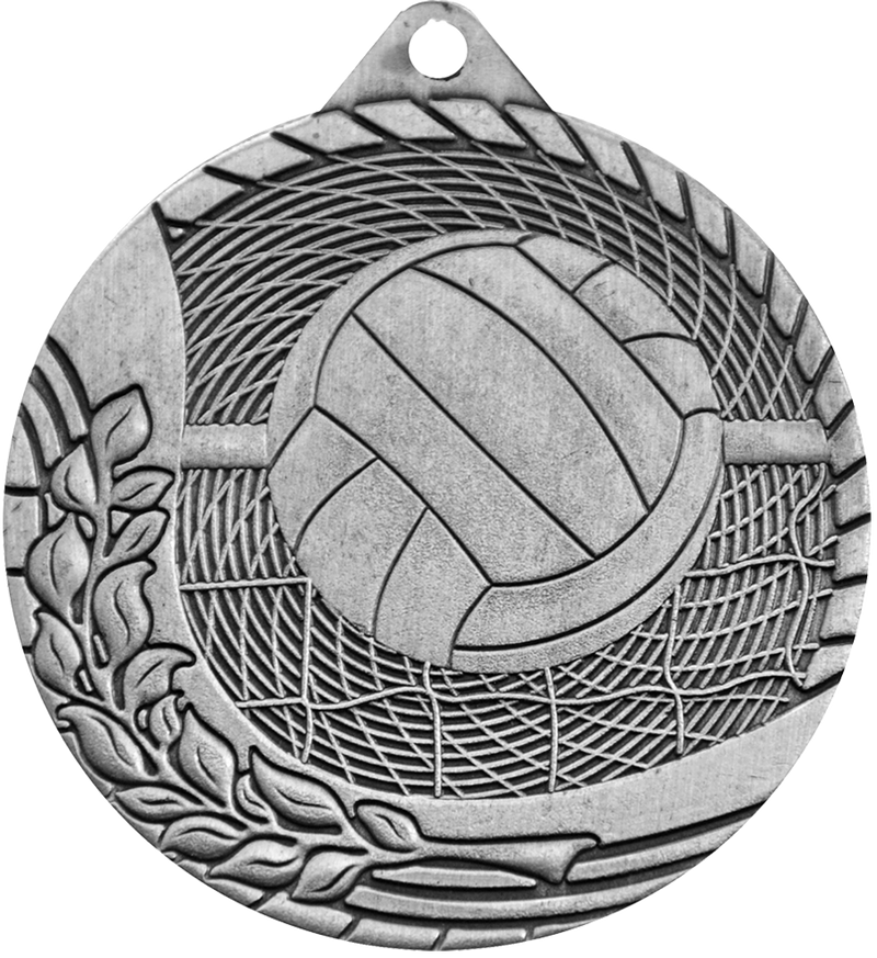 Silver Budget Volleyball Medal