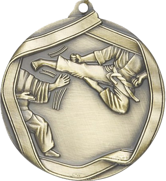 Die Cast Karate Medal
