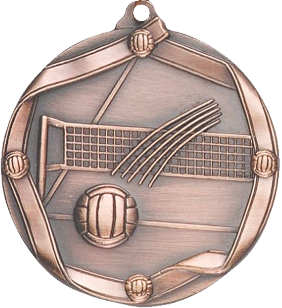 Bronze Die Cast Volleyball Medal