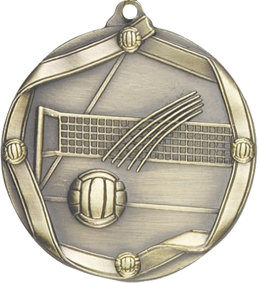 Gold Die Cast Volleyball Medal