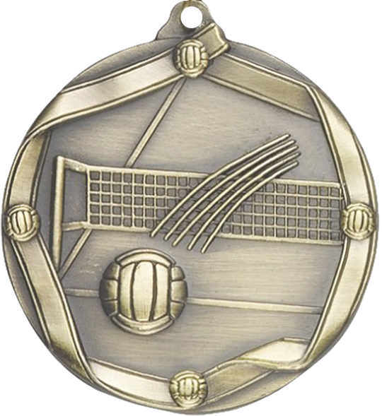 Die Cast Volleyball Medal