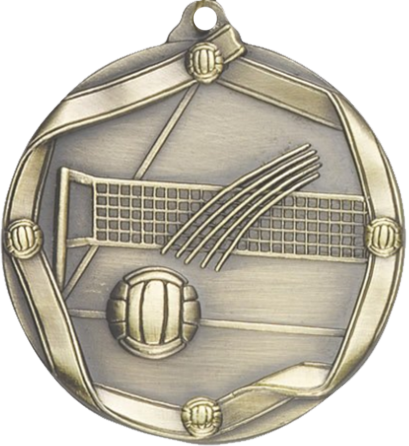Gold Die Cast Volleyball Medal