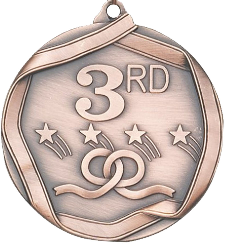 Bronze Die Cast 3rd Place Medal