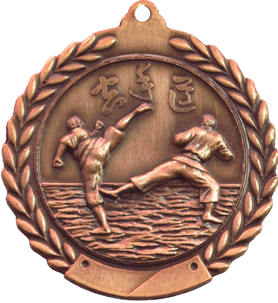 Bronze Cheap Wreath Karate Medal