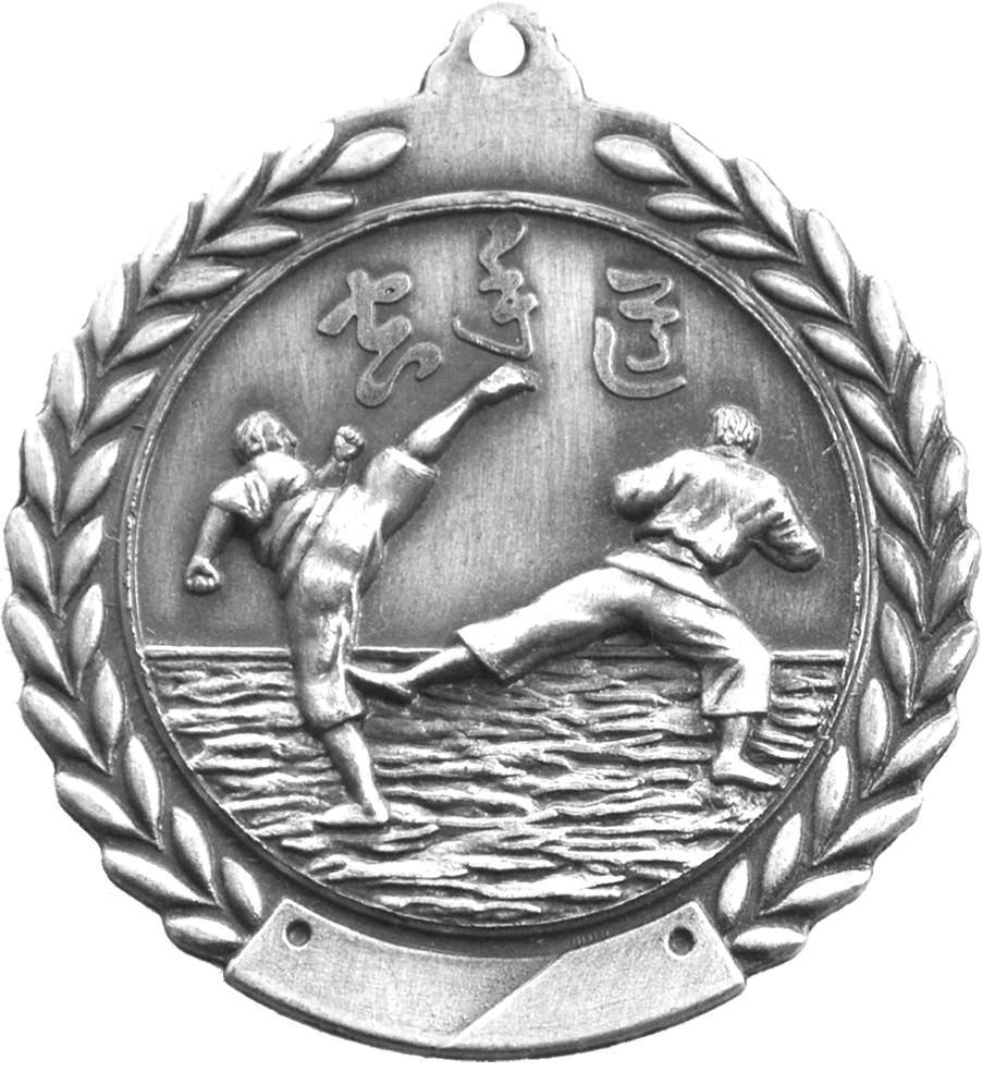Silver Cheap Wreath Karate Medal