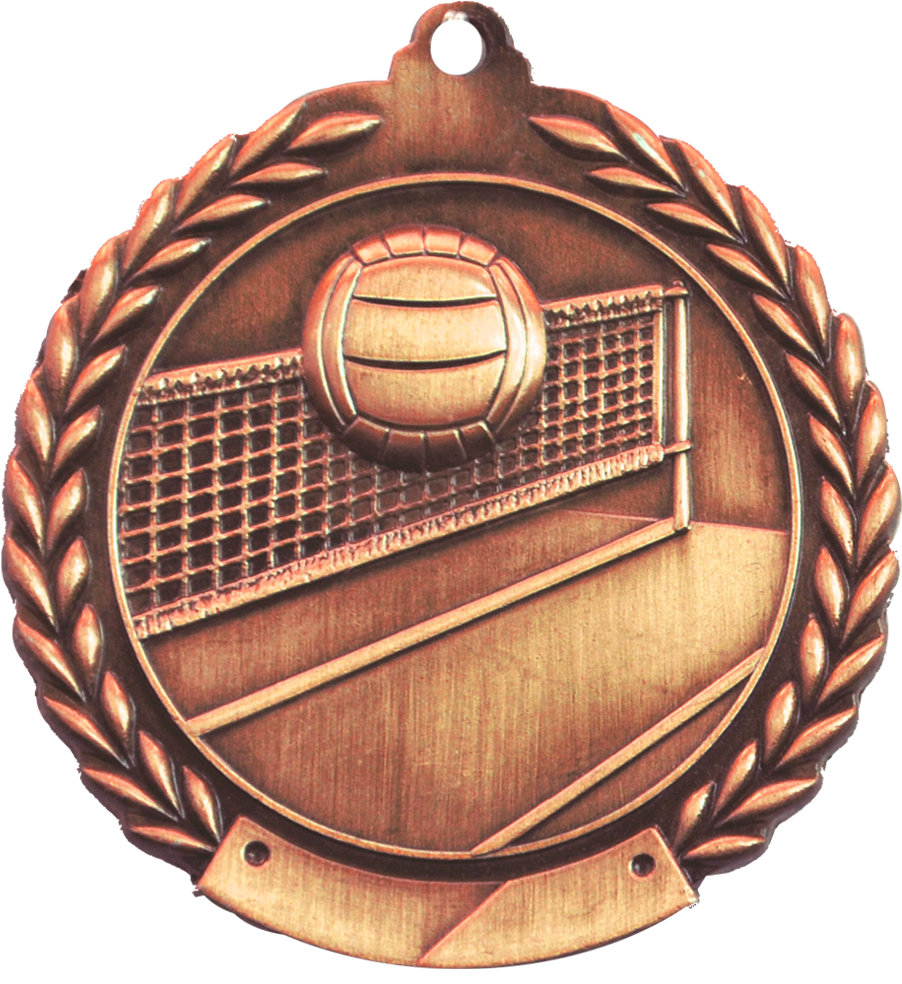 Bronze 2.75" Wreath Volleyball Medal