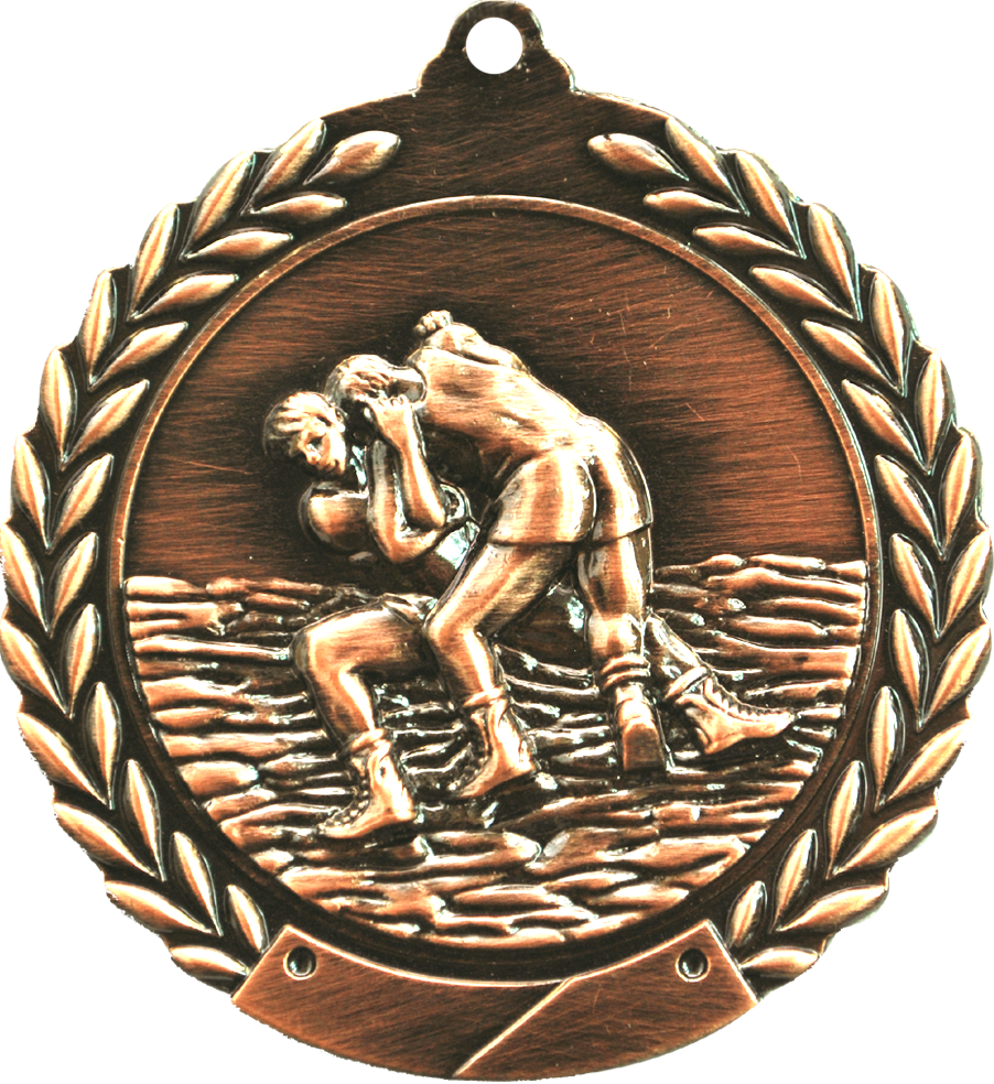 Bronze Cheap Wreath Wrestling Medal
