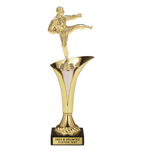 Martial Arts Glory Trophy