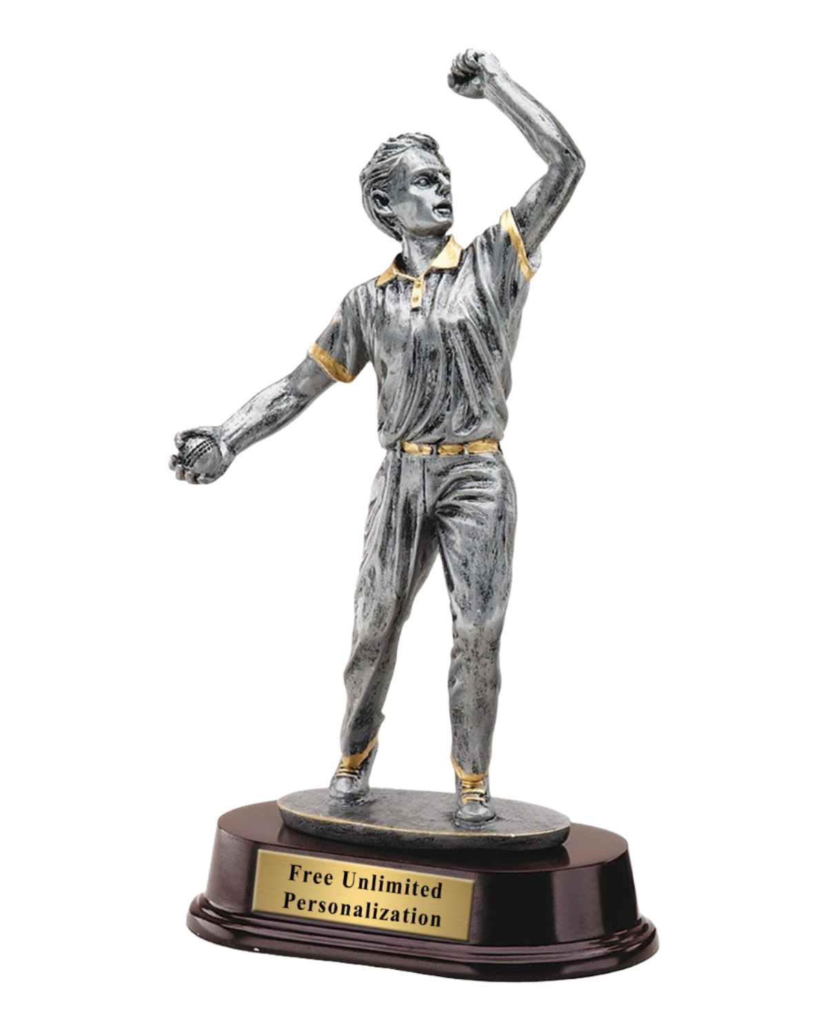 Pewter Finish Cricket Bowler Trophy