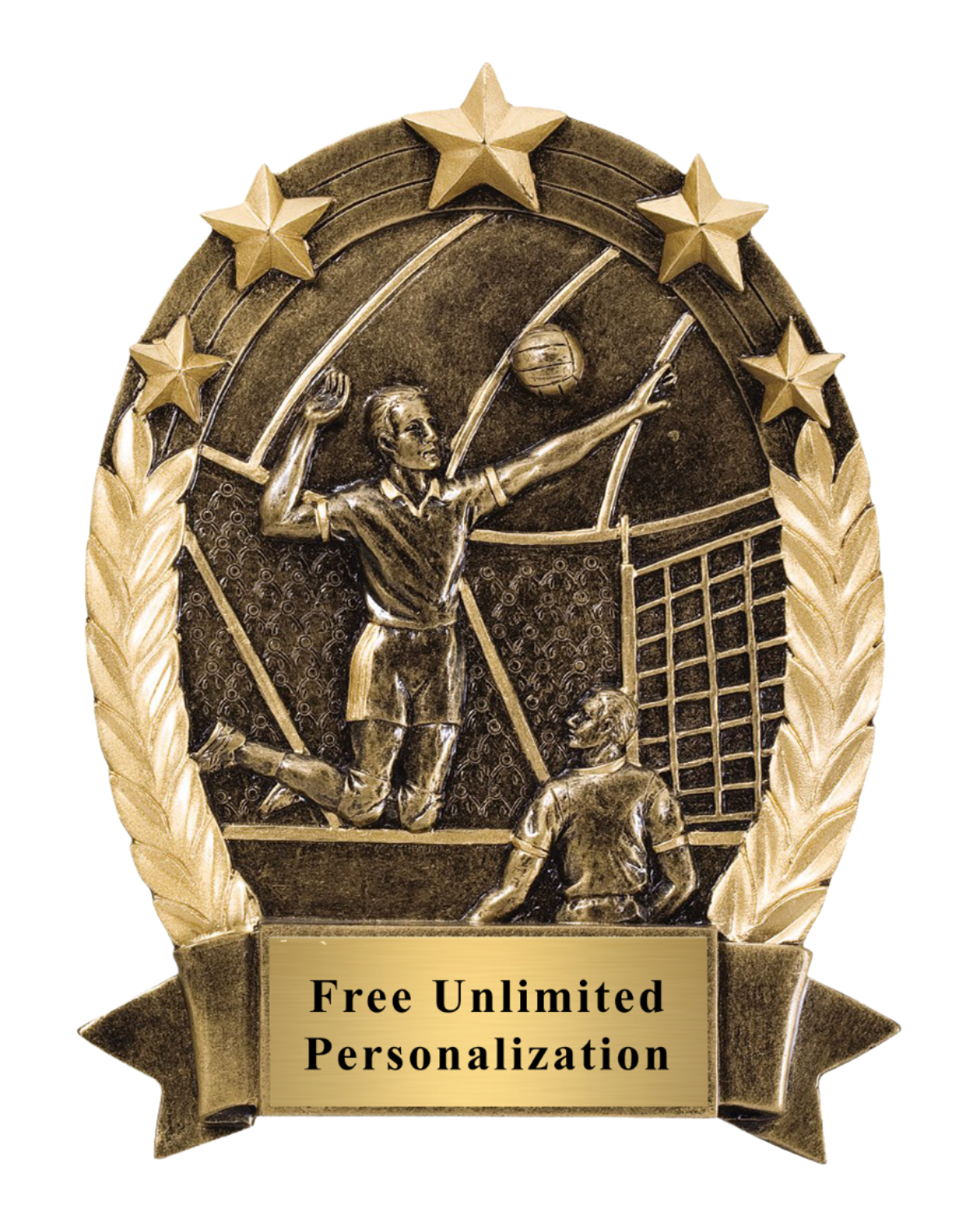 Five Star Oval Volleyball Award - Male