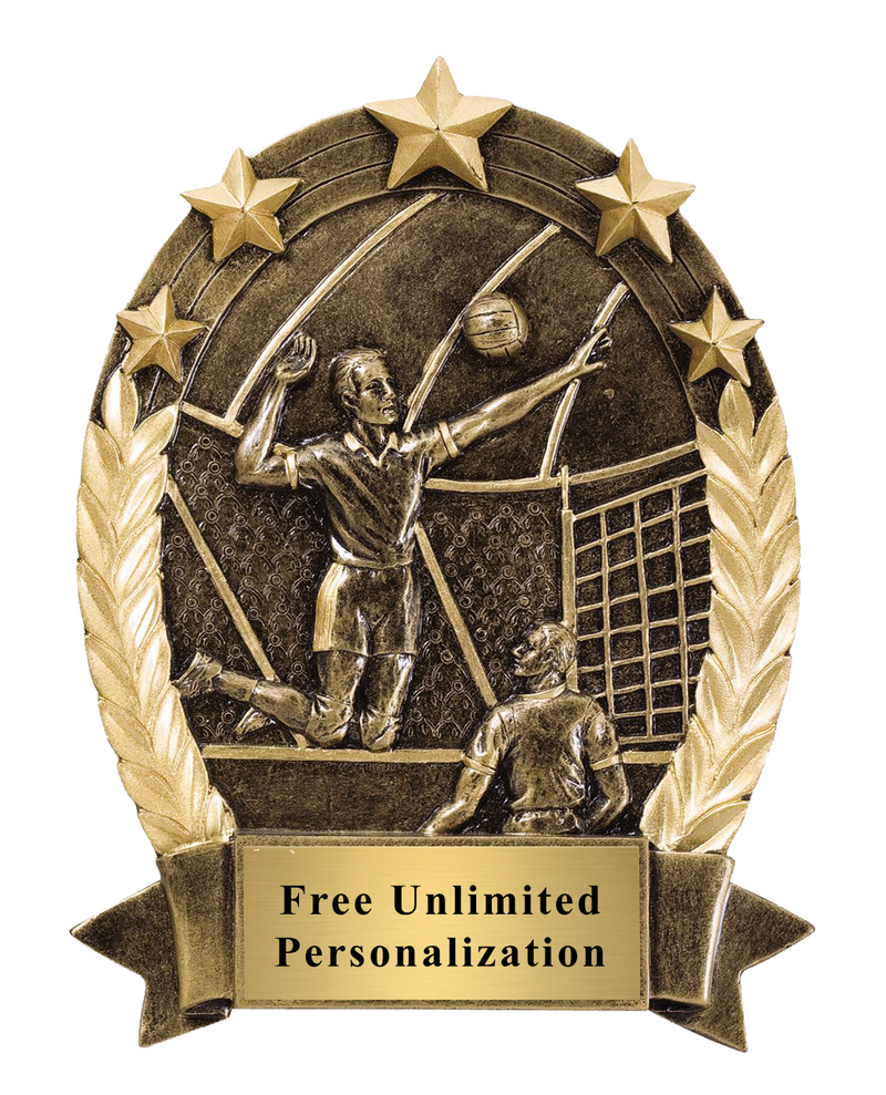 Five Star Oval Volleyball Award - Male