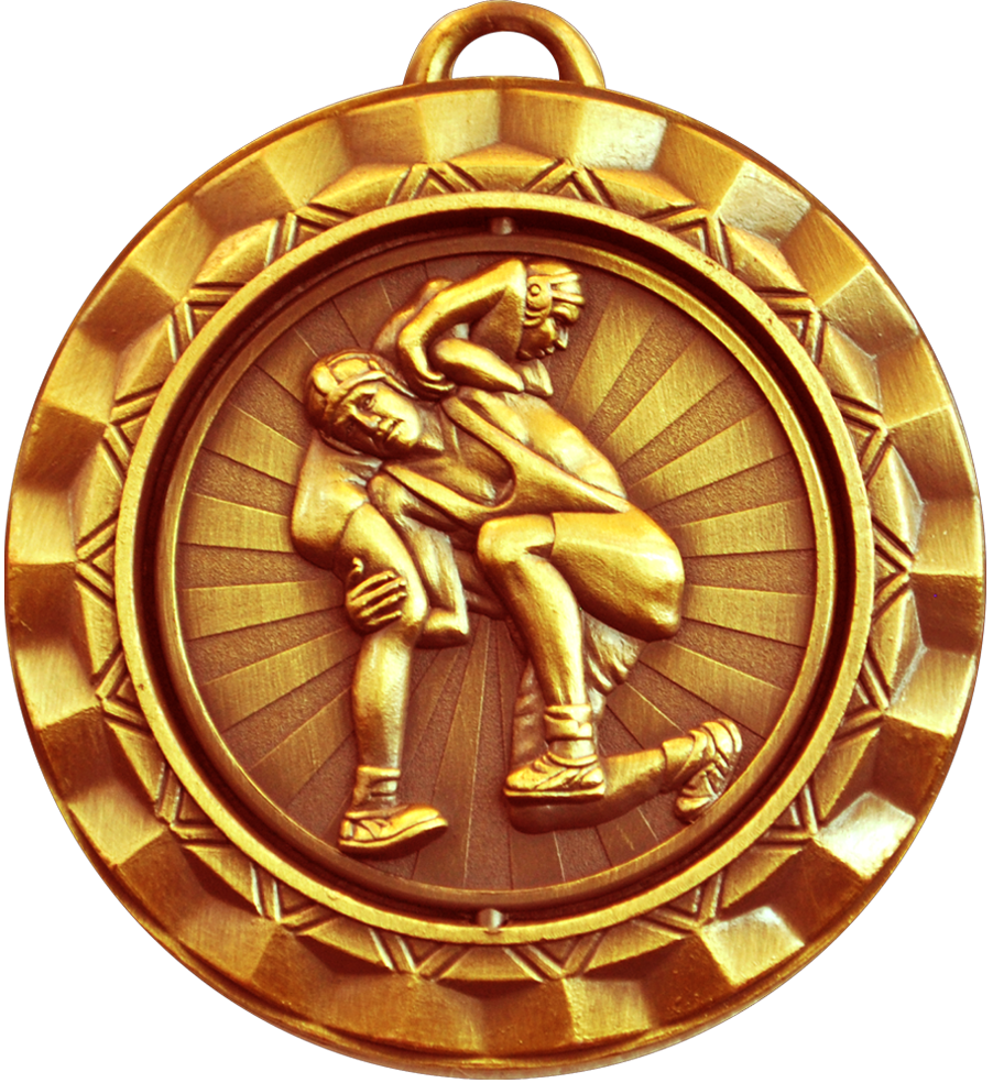 Bronze Spin Wrestling Medal