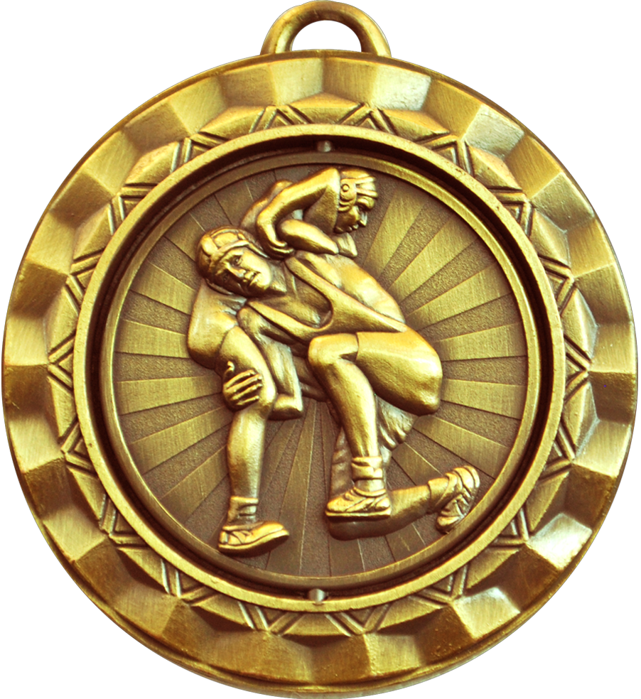 Gold Spin Wrestling Medal