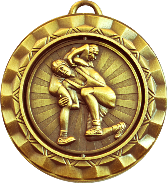 Spin Wrestling Medal