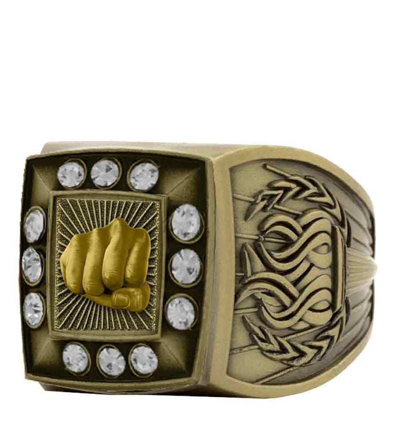 Gold Martial Arts Championship Ring With Stones Bezel