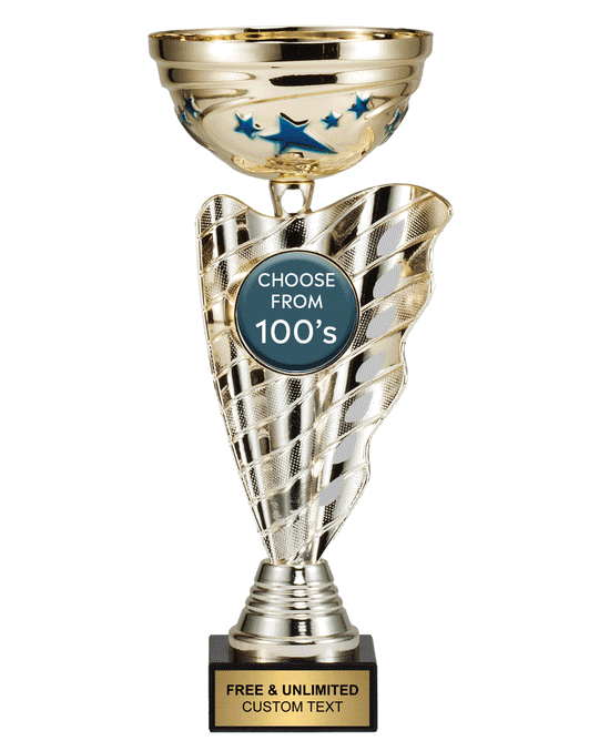 Swirl & Blue Star Insert Cup