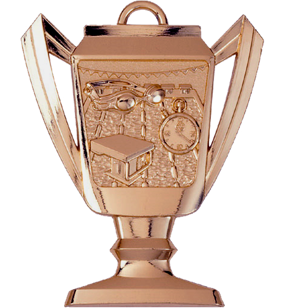 Bronze Swimming Trophy Medal