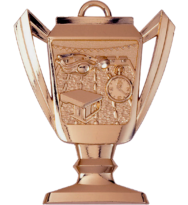 Bronze Swimming Trophy Medal