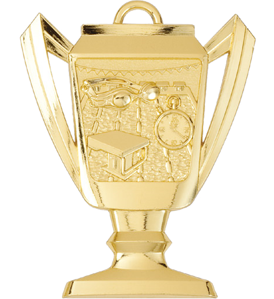 Gold Swimming Trophy Medal